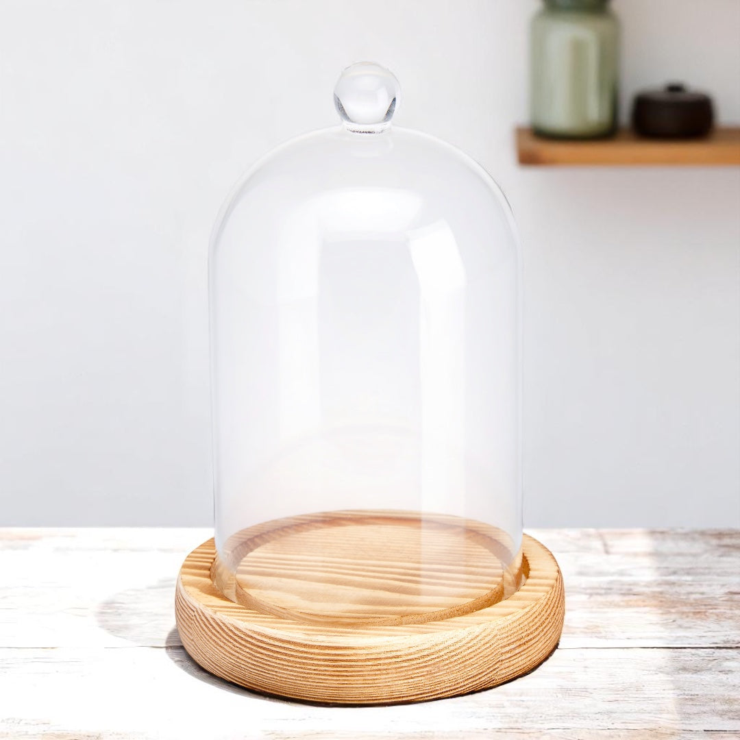 Candle Cloche Bell Jar | Glass & Wood