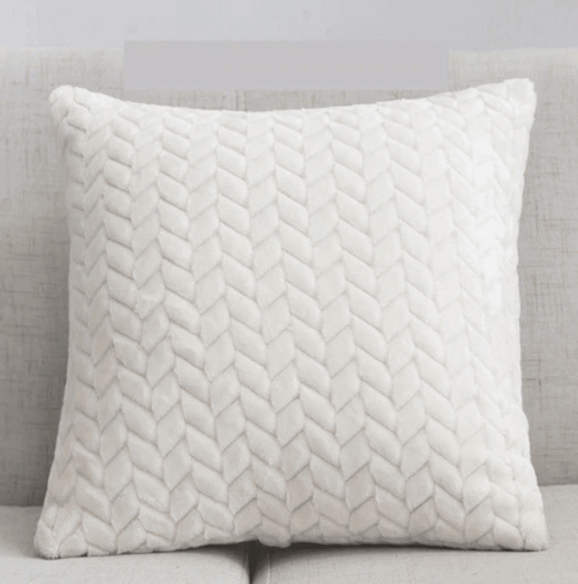Plush Pillow Case